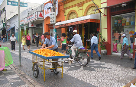 Street seller of Pequi, a popular local fruit, in Cuiabá, Mato Grosso, Brazil