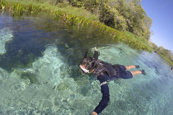 Snorkelling through the crystal clear waters of the Rio Sucuri.