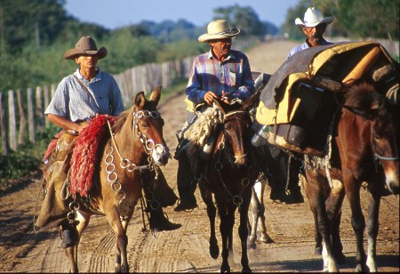 Pantaneiro cowboys in the Pantanal, Brazil