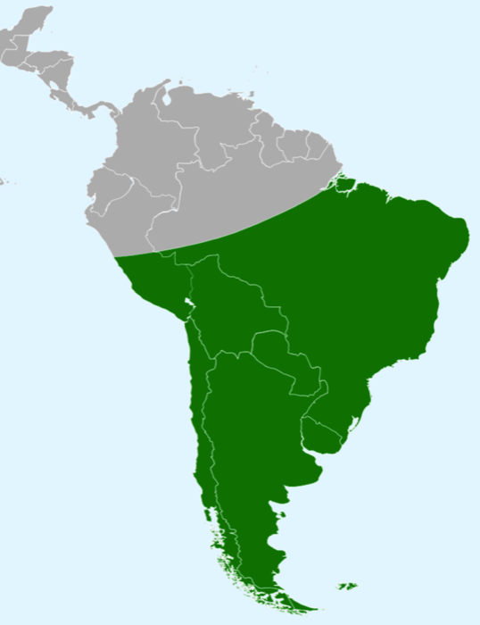 Map illustrating the range of the Southern Crested Caracara.