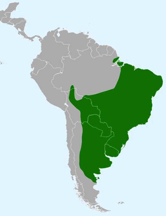 Map showing the range of the Guira cuckoo.