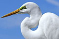 icon_greategret