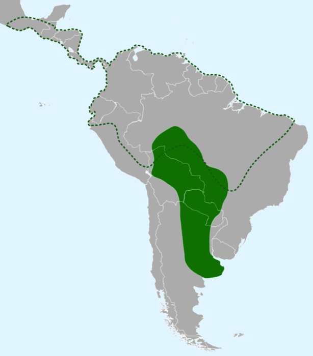 Range of the Caiman Yacaré. This is the species most commonly encountered in the Pantanal. The dotted line shows the range of the closely related to the Spectacled Caiman (Caiman crocodilus).